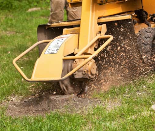 This is a photo of a stump grinding machine being used to remove a tree stump in a field. Photo taken by Wickham Market Tree Surgeons.